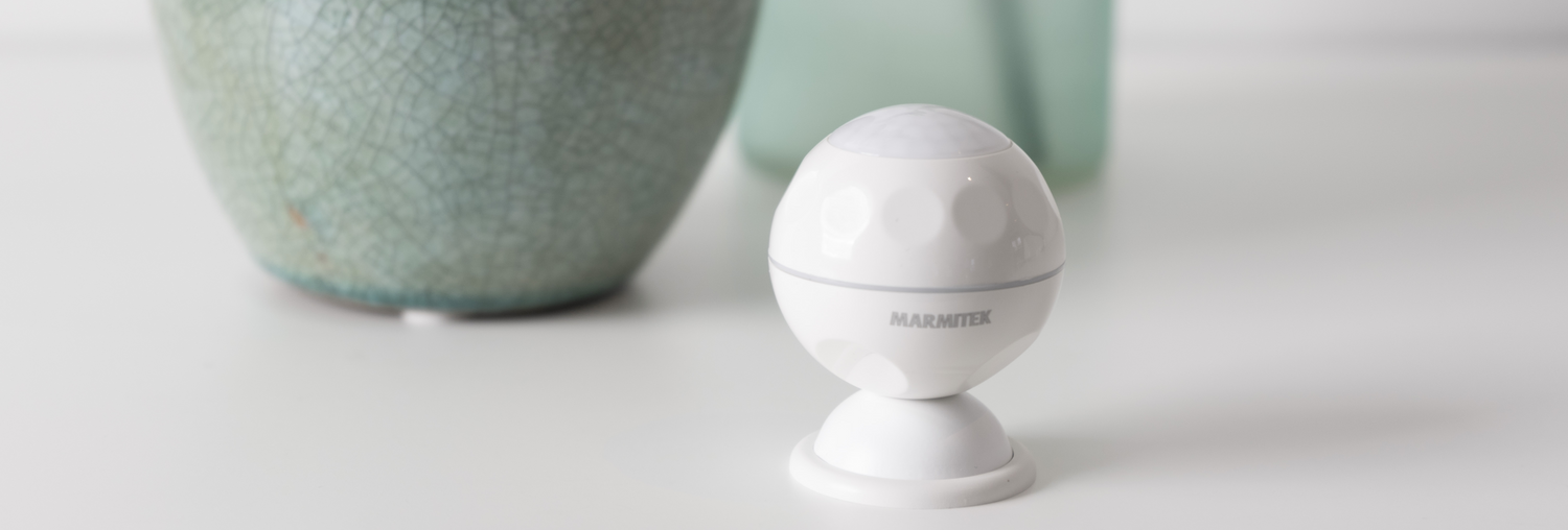 Motion sensor