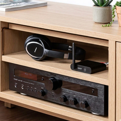 Audio Anywhere 730 - Wireless Audio Transmitter und Receiver für TV-Ton und digitales Audio